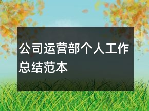 公司運營部個人工作總結(jié)范本