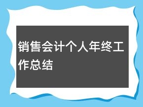 銷(xiāo)售會(huì)計(jì)個(gè)人年終工作總結(jié)