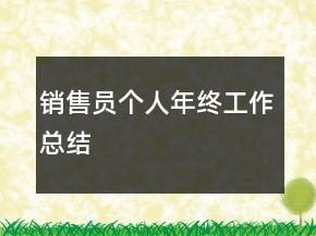 銷售員個(gè)人年終工作總結(jié)