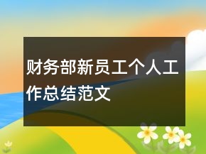 財務(wù)部新員工個人工作總結(jié)范文