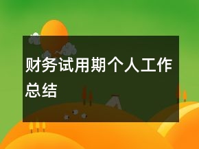 財(cái)務(wù)試用期個(gè)人工作總結(jié)