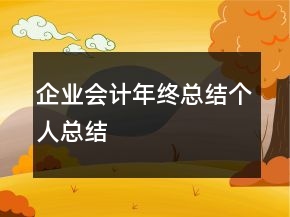 企業(yè)會計年終總結個人總結