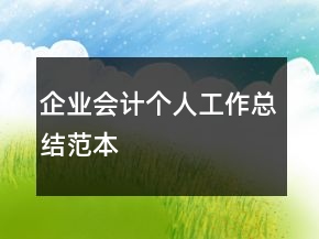 企業(yè)會(huì)計(jì)個(gè)人工作總結(jié)范本