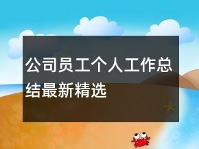 公司員工個(gè)人工作總結(jié)最新精選