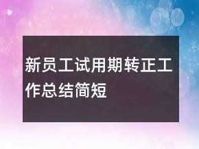 新員工試用期轉(zhuǎn)正工作總結(jié)簡短