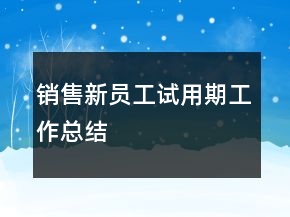 銷售新員工試用期工作總結(jié)