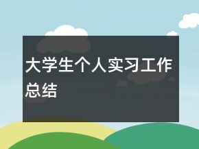 大學(xué)生個人實習(xí)工作總結(jié)