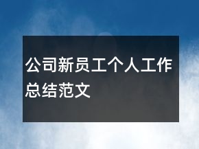 公司新員工個人工作總結(jié)范文