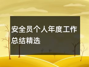 安全員個人年度工作總結精選