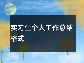 實習(xí)生個人工作總結(jié)格式