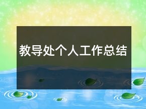 教導(dǎo)處個(gè)人工作總結(jié)