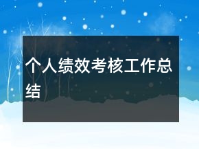個(gè)人績效考核工作總結(jié)