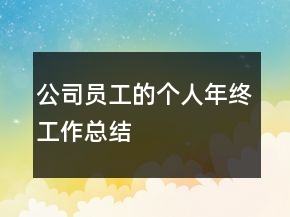 公司員工的個人年終工作總結(jié)