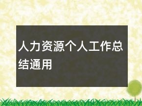 人力資源個人工作總結(jié)通用