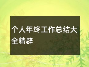 個(gè)人年終工作總結(jié)大全精辟