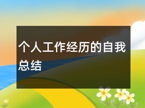 個人工作經(jīng)歷的自我總結(jié)
