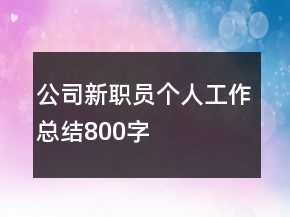 公司新職員個人工作總結(jié)800字