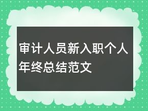 審計人員新入職個人年終總結(jié)范文
