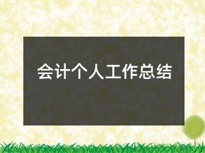 會(huì)計(jì)個(gè)人工作總結(jié)