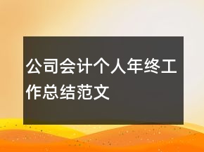 公司會(huì)計(jì)個(gè)人年終工作總結(jié)范文