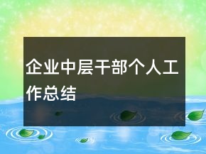 企業(yè)中層干部個(gè)人工作總結(jié)