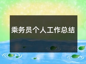 乘務(wù)員個(gè)人工作總結(jié)