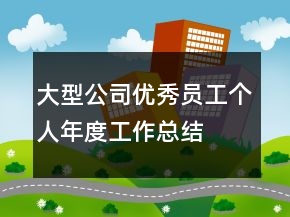 大型公司優(yōu)秀員工個(gè)人年度工作總結(jié)