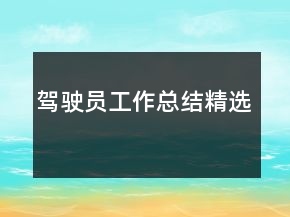 駕駛員工作總結(jié)精選
