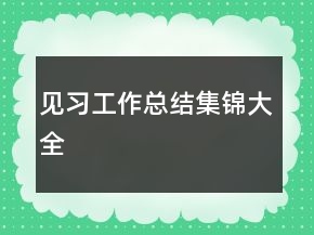 見(jiàn)習(xí)工作總結(jié)集錦大全