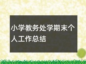 小學教務(wù)處學期末個人工作總結(jié)
