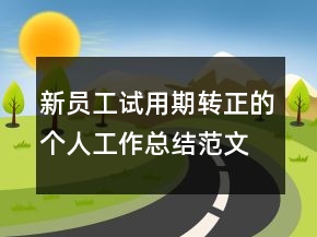 新員工試用期轉正的個人工作總結范文