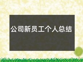 公司新員工個(gè)人總結(jié)