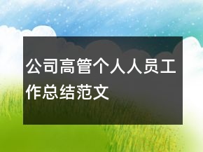 公司高管個人人員工作總結范文