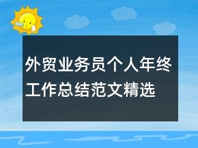 外貿(mào)業(yè)務(wù)員個人年終工作總結(jié)范文精選