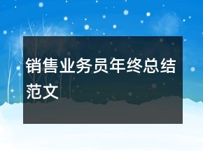 銷售業(yè)務(wù)員年終總結(jié)范文
