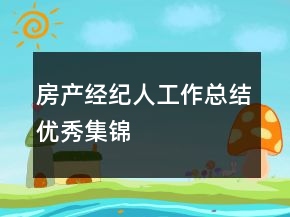 房產(chǎn)經(jīng)紀人工作總結(jié)優(yōu)秀集錦