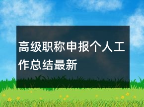 高級職稱申報(bào)個(gè)人工作總結(jié)最新