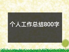 個人工作總結(jié)800字