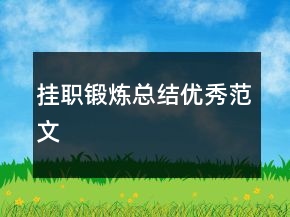 掛職鍛煉總結(jié)優(yōu)秀范文