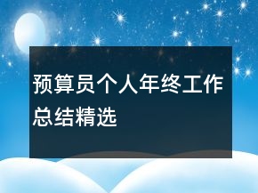 預(yù)算員個人年終工作總結(jié)精選