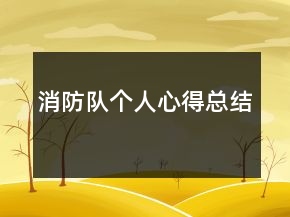 消防隊個人心得總結(jié)