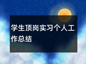 學(xué)生頂崗實(shí)習(xí)個(gè)人工作總結(jié)