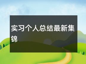 實(shí)習(xí)個人總結(jié)最新集錦
