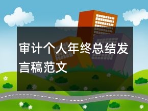 審計個人年終總結(jié)發(fā)言稿范文