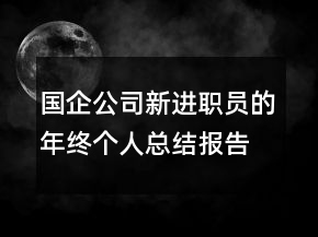 國企公司新進(jìn)職員的年終個(gè)人總結(jié)報(bào)告