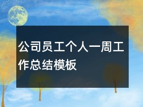 公司員工個(gè)人一周工作總結(jié)模板