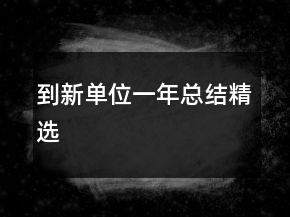 到新單位一年總結(jié)精選