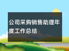 公司采購(gòu)銷售助理年度工作總結(jié)