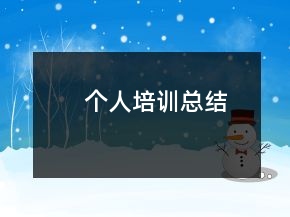 個(gè)人培訓(xùn)總結(jié)