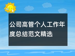 公司高管個(gè)人工作年度總結(jié)范文精選